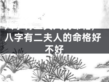 八字有二夫人的命格,八字有二夫人的命格好不好