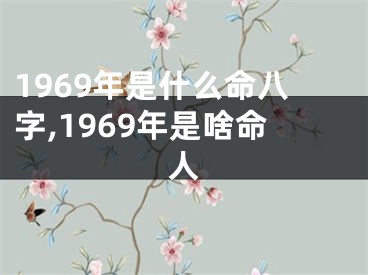 1969年是什么命八字,1969年是啥命人