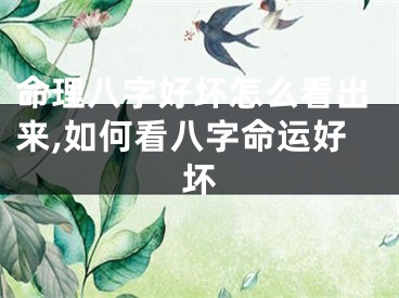 命理八字好坏怎么看出来,如何看八字命运好坏