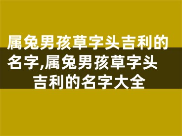 属兔男孩草字头吉利的名字,属兔男孩草字头吉利的名字大全
