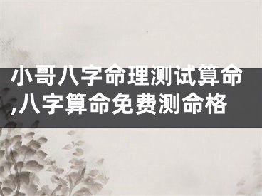 小哥八字命理测试算命,八字算命免费测命格