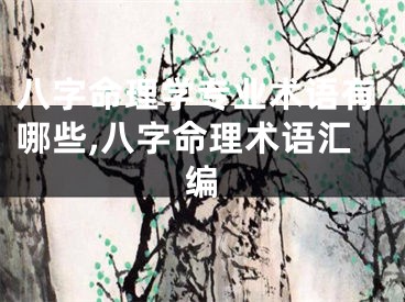 八字命理学专业术语有哪些,八字命理术语汇编