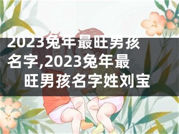 2023兔年最旺男孩名字,2023兔年最旺男孩名字姓刘宝