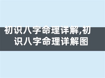 初识八字命理详解,初识八字命理详解图