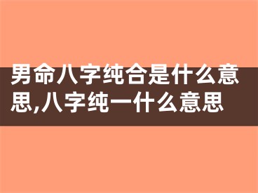 男命八字纯合是什么意思,八字纯一什么意思