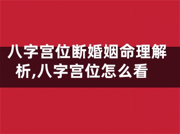 八字宫位断婚姻命理解析,八字宫位怎么看