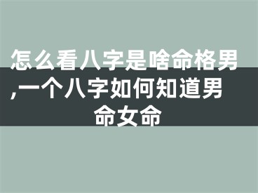 怎么看八字是啥命格男,一个八字如何知道男命女命