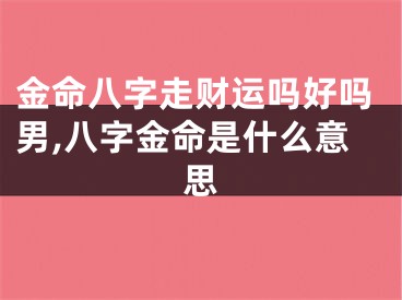 金命八字走财运吗好吗男,八字金命是什么意思