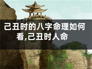 己丑时的八字命理如何看,己丑时人命