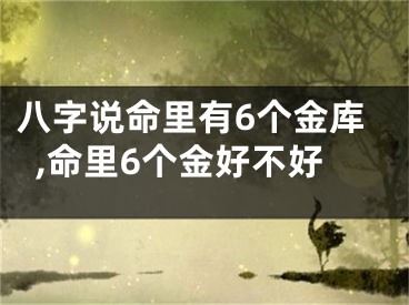 八字说命里有6个金库,命里6个金好不好