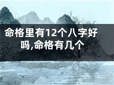 命格里有12个八字好吗,命格有几个