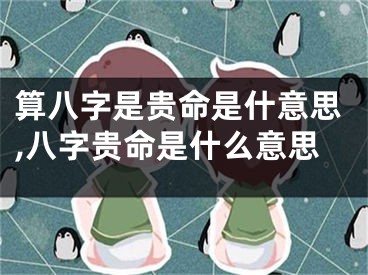 算八字是贵命是什意思,八字贵命是什么意思
