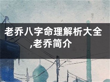 老乔八字命理解析大全,老乔简介