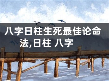 八字日柱生死最佳论命法,日柱 八字