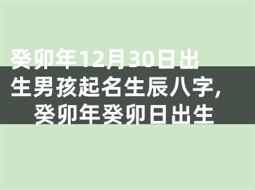癸卯年12月30日出生男孩起名生辰八字,癸卯年癸卯日出生