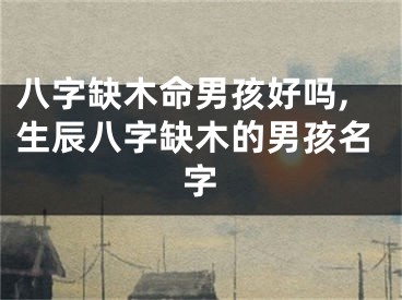 八字缺木命男孩好吗,生辰八字缺木的男孩名字