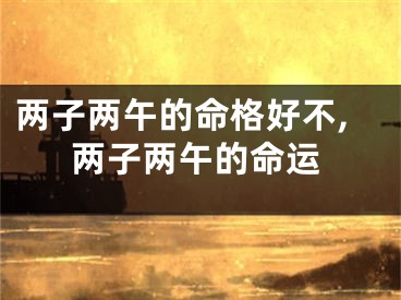 两子两午的命格好不,两子两午的命运