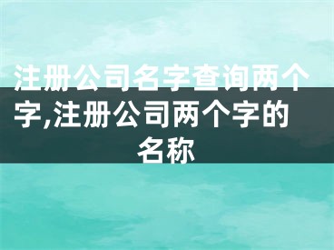 注册公司名字查询两个字,注册公司两个字的名称