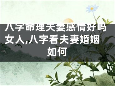 八字命理夫妻感情好吗女人,八字看夫妻婚姻如何