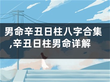 男命辛丑日柱八字合集,辛丑日柱男命详解
