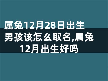 属兔12月28日出生男孩该怎么取名,属兔12月出生好吗