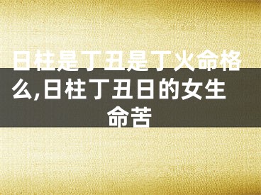 日柱是丁丑是丁火命格么,日柱丁丑日的女生命苦