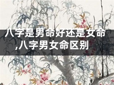八字是男命好还是女命,八字男女命区别