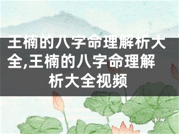 王楠的八字命理解析大全,王楠的八字命理解析大全视频