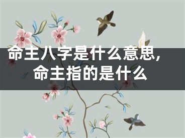 命主八字是什么意思,命主指的是什么