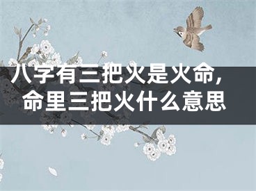 八字有三把火是火命,命里三把火什么意思