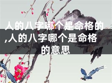 人的八字哪个是命格的,人的八字哪个是命格的意思