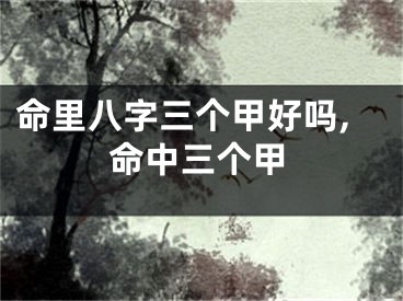命里八字三个甲好吗,命中三个甲