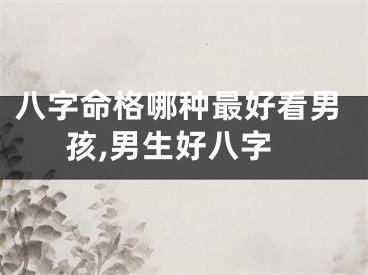 八字命格哪种最好看男孩,男生好八字