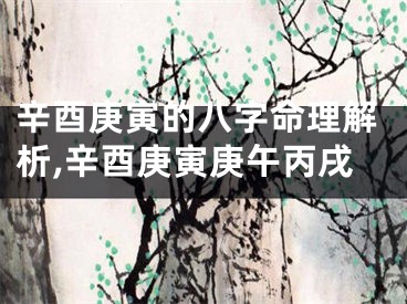 辛酉庚寅的八字命理解析,辛酉庚寅庚午丙戌