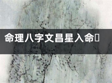 命理八字文昌星入命☘