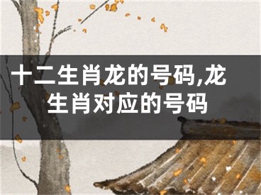 十二生肖龙的号码,龙生肖对应的号码