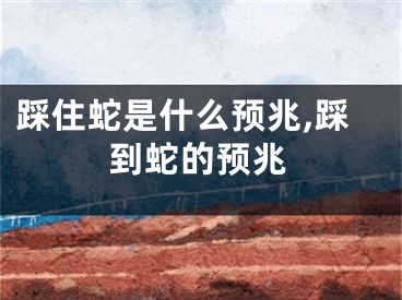 踩住蛇是什么预兆,踩到蛇的预兆