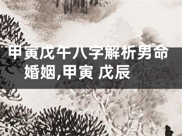 甲寅戊午八字解析男命婚姻,甲寅 戊辰