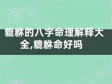 貔貅的八字命理解释大全,貔貅命好吗