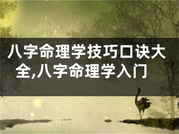 八字命理学技巧口诀大全,八字命理学入门