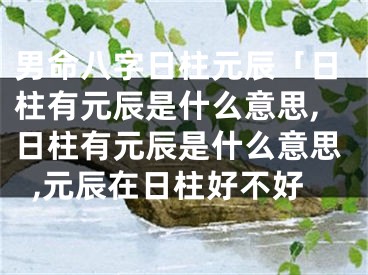 男命八字日柱元辰「日柱有元辰是什么意思,日柱有元辰是什么意思,元辰在日柱好不好