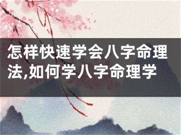 怎样快速学会八字命理法,如何学八字命理学