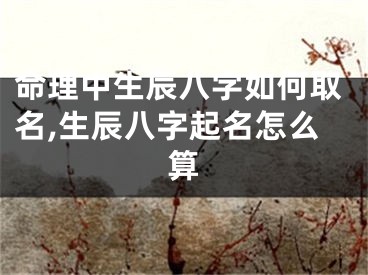 命理中生辰八字如何取名,生辰八字起名怎么算