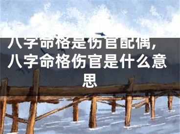 八字命格是伤官配偶,八字命格伤官是什么意思