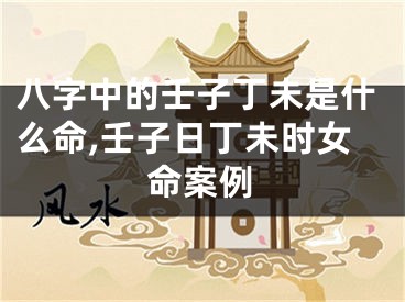 八字中的壬子丁未是什么命,壬子日丁未时女命案例