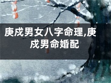 庚戍男女八字命理,庚戍男命婚配