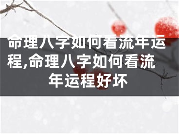 命理八字如何看流年运程,命理八字如何看流年运程好坏