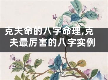克夫命的八字命理,克夫最厉害的八字实例