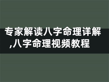 专家解读八字命理详解,八字命理视频教程