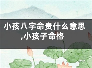 小孩八字命贵什么意思,小孩子命格